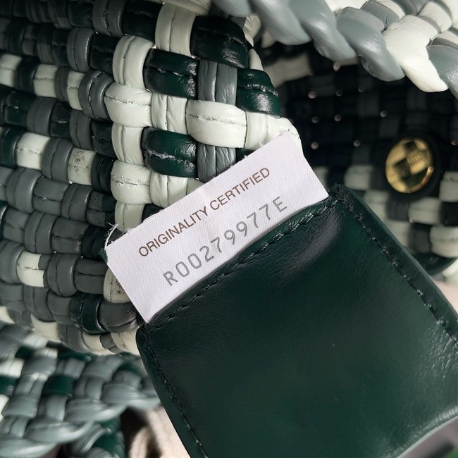 Bottega Veneta Small Tosca 776755 green&white
