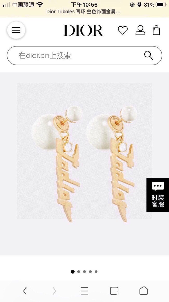 Dior Earrings CE80983