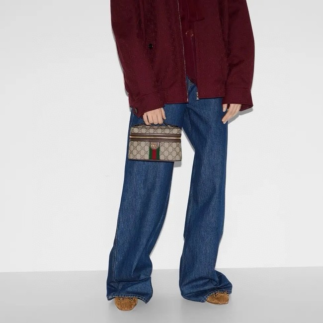 GUCCI Ophidia samll bag 816357 brown