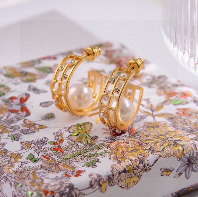 Dior Earring CE81697